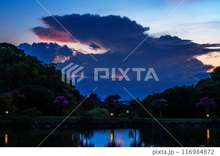2024年夏奈良公園鷺池浮見堂の夕景　頭をもたげた入道雲と残照③ 116984872