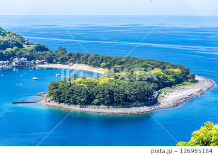 伊豆のくちばし御浜岬　駿河湾の海流によりできた砂嘴（さし）小石のビーチ　アカウミガメが産卵 116985184