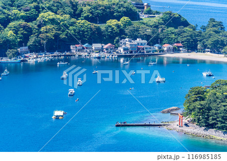 鳥のくちばしのような御浜岬の先端にある諸口神社鳥居　青く透き通った美しい海　戸田ブルー 夕映えの丘 116985185