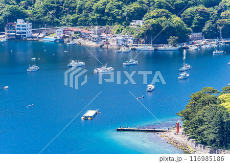 鳥のくちばしのような御浜岬の先端にある諸口神社鳥居　青く透き通った美しい海　戸田ブルー 夕映えの丘 116985186