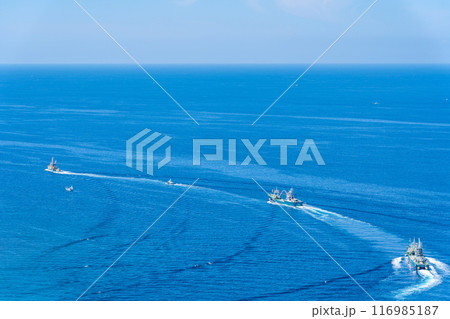 戸田漁港から出漁する　まき網漁業船団　駿河湾へ 116985187