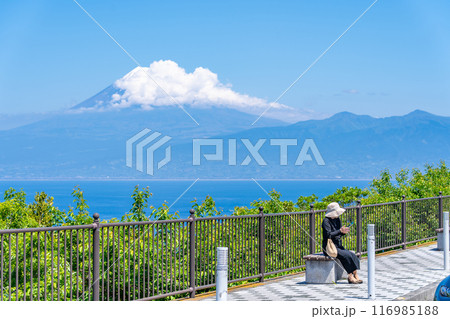 出逢い岬から富士山を望む　西伊豆のビュースポット　女性 116985188