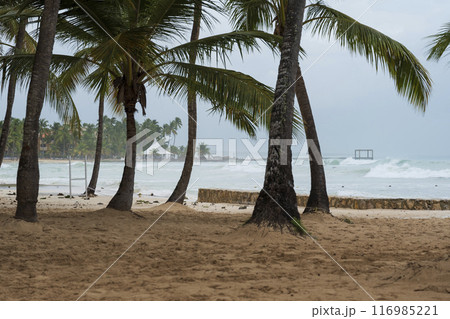 Bayahibe beach at storm day with big waves and heavy sea 116985221