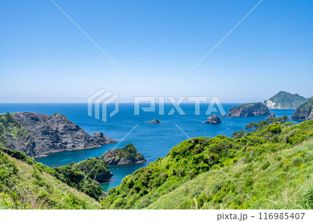 奥石廊ユウスゲ公園　海底火山の記憶を一望する天然のテラス　数100万年前の海底火山の噴出物 116985407