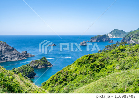 奥石廊ユウスゲ公園　海底火山の記憶を一望する天然のテラス　数100万年前の海底火山の噴出物 116985408