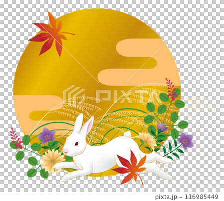 滿月，兔子，蒲葦，秋草，中秋的兔子凝視著月亮。 116985449