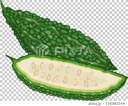 Two gourds 116985544