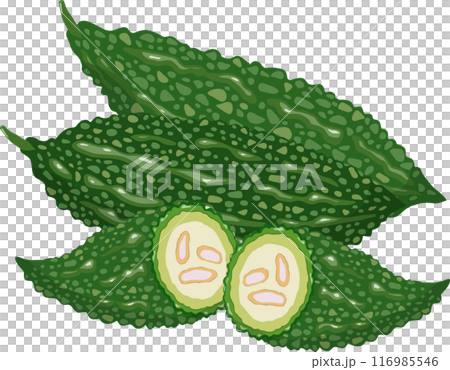 4 bitter melons 4 bitter melons 116985546