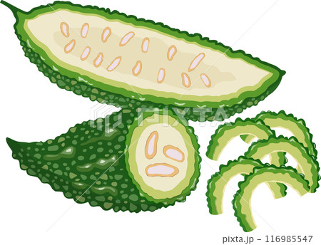 ゴーヤ　カット付き 116985547
