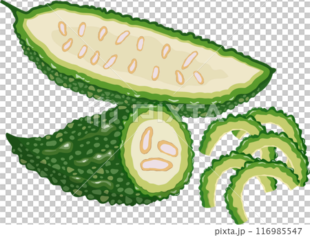 ゴーヤ　カット付き 116985547
