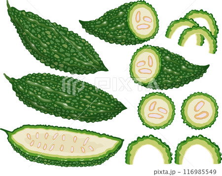 ゴーヤ　セット 116985549