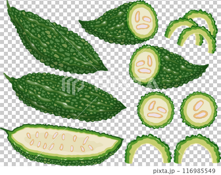 ゴーヤ　セット 116985549