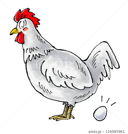 卵を産む白いニワトリ 116985961