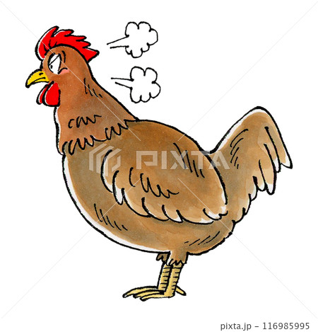 怒る茶色いニワトリ 怒る茶色いニワトリ 116985995