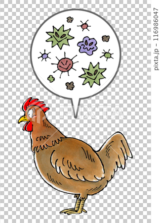 褐雞和病原體 褐雞和病原體 116986047