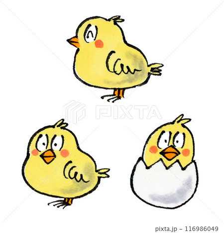 ヒヨコセット 116986049