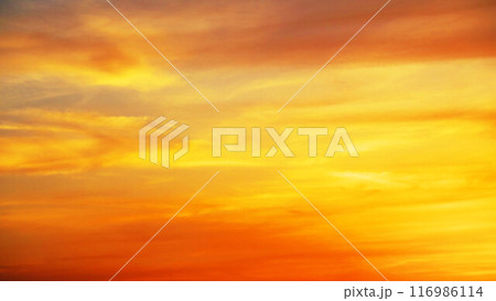 夕焼け空の美しい風景（埼玉県川口市付近） 116986114