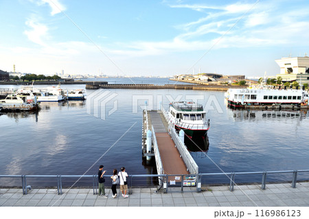 プロムナードから眺める象の鼻桟橋 プロムナードから眺める象の鼻桟橋 116986123