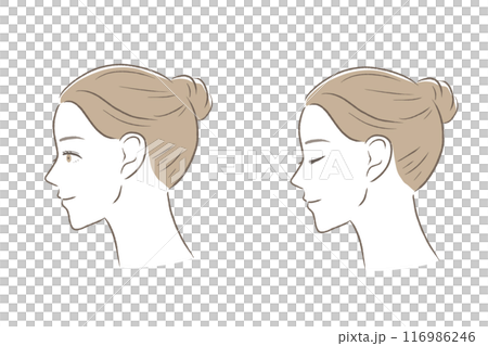 A beautiful woman with updo on her face, profile view 116986246