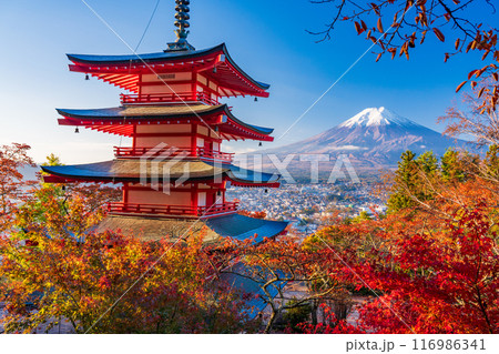 《山梨県》新倉山浅間公園の桜紅葉、忠霊塔と新雪富士 116986341