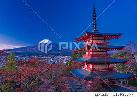 《山梨県》新倉山浅間公園の桜紅葉、忠霊塔と新雪富士 夜明け 《山梨県》新倉山浅間公園の桜紅葉、忠霊塔と新雪富士 夜明け 116986377