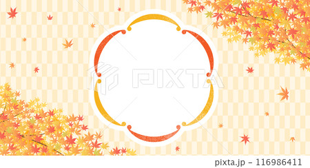 秋の紅葉のもみじの背景 秋の紅葉のもみじの背景 116986411