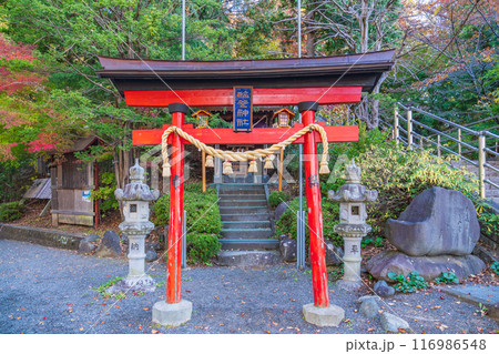 《山梨県》新倉山浅間公園 塩釜神社・赤鳥居 《山梨県》新倉山浅間公園 塩釜神社・赤鳥居 116986548