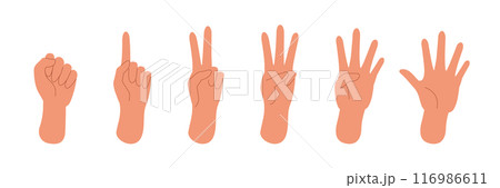 指で数を数えている手のイラストセット 指で数を数えている手のイラストセット 116986611