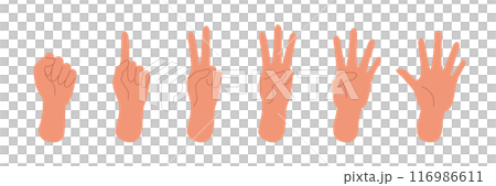 指で数を数えている手のイラストセット 指で数を数えている手のイラストセット 116986611