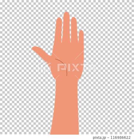 挙手した手のクローズアップイラスト 116986622