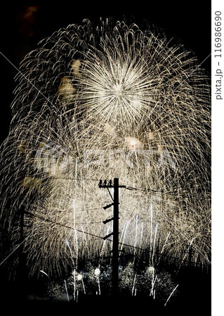 夜空に打ち上がる花火 夜空に打ち上がる花火 116986690