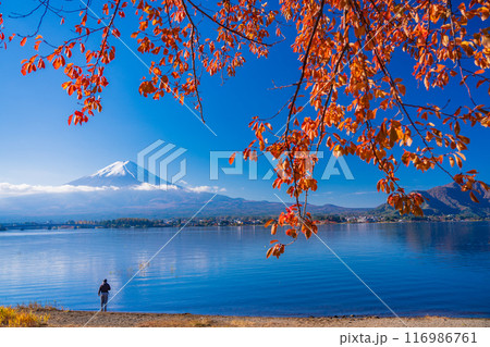 《山梨県》紅葉期の河口湖・湖畔の釣り人と富士山 《山梨県》紅葉期の河口湖・湖畔の釣り人と富士山 116986761