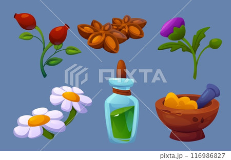 Herbal folk medicine elements set. 116986827