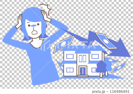 不動産の価値が下がってショックを受ける女性 不動産の価値が下がってショックを受ける女性 116986891