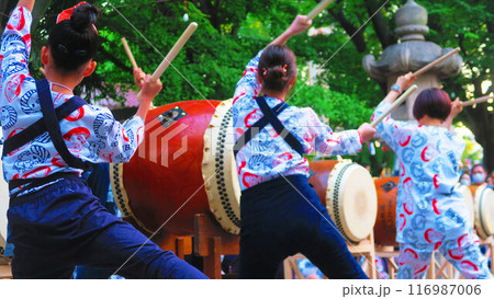 浦安三社例大祭の提灯点灯式の風景（2024年撮影） 116987006