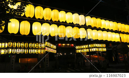 浦安三社例大祭の提灯点灯式の風景（2024年撮影） 116987023