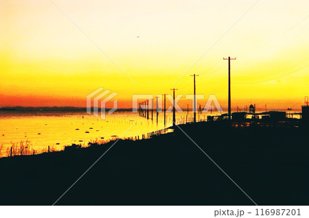 海に沈む夕日 海に沈む夕日 116987201