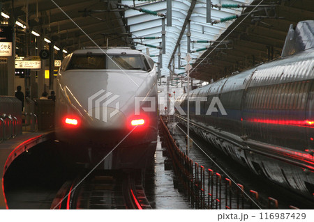 新大阪に停車中の山陽新幹線100系こだま号：フレッシュグリーン編成 116987429