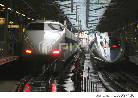 新大阪に停車中の山陽新幹線100系こだま号:フレッシュグリーン編成 新大阪に停車中の山陽新幹線100系こだま号:フレッシュグリーン編成 116987430
