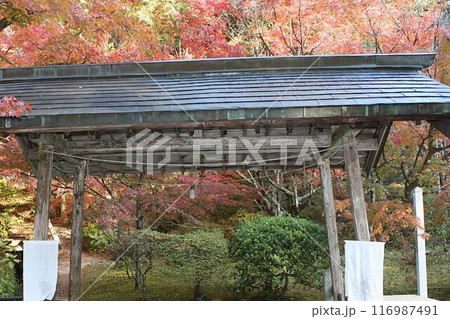 紅葉に包まれた東屋 116987491