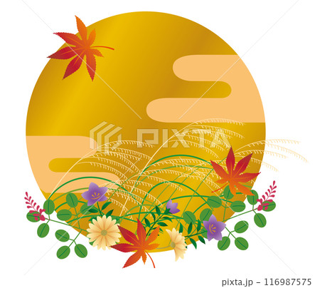 満月とうさぎとススキと秋草　中秋の名月　お月見をするうさぎ 116987575