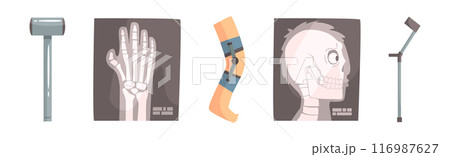 Human Bone and Joint Fracture and Rehabilitation Object Vector Set 116987627