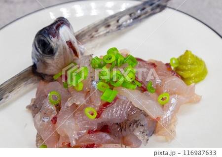 飛び魚の姿作り　お刺身の盛り付け 116987633