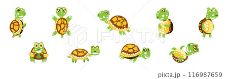 Funny Green Turtle Character with Carapace Vector Set 116987659