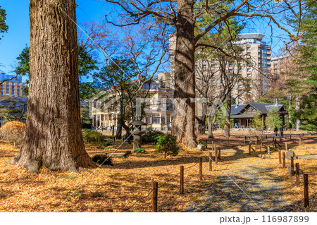 東京　台東区 池之端　秋の旧岩崎邸庭園 116987899