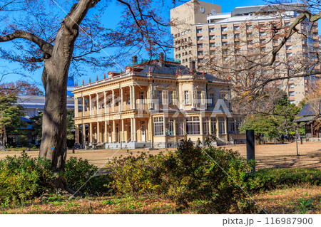 東京　台東区 池之端　秋の旧岩崎邸庭園（洋館） 116987900