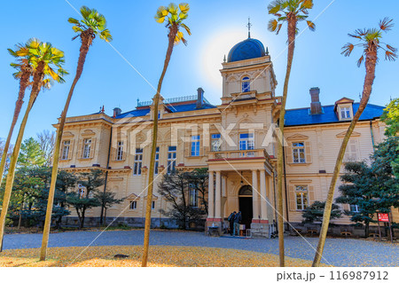 東京　台東区 池之端　秋の旧岩崎邸庭園（洋館） 116987912
