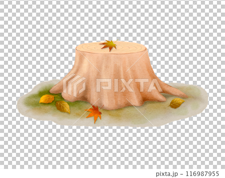 Illustration material of tree stumps and fallen leaves in the forest painted by watercolor 116987955
