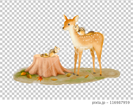 水彩で描いた森の中の可愛い動物のイラスト素材 116987959