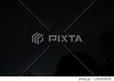 長崎県五島列島の星空 116988026